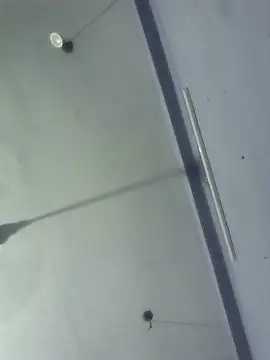 GirlsCrush  online show from 29, 9, 2025