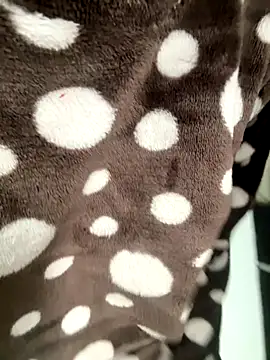 HeerStd online show from 17, 11, 2025