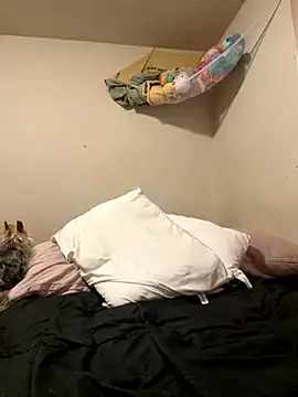 VanessaRose5362 online show from 14, 10, 2025