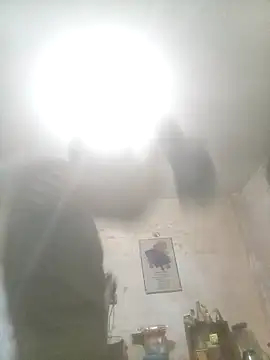 Bebicho14 online show from 14, 11, 2025