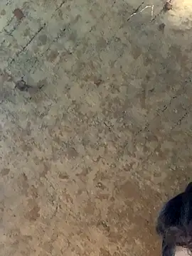 uniquesexyboy5689 online show from 27, 11, 2025