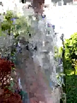 AlphaAlterX online show from 20, 12, 2025