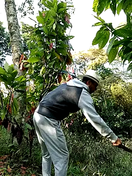 AlphaAlterX online show from 28, 2, 2026