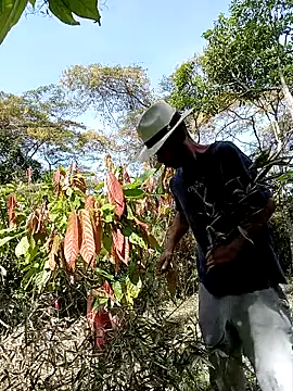 AlphaAlterX online show from 1, 3, 2026