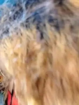 Snapshot of hemilynthomas2467 chatting on 1, 2, 2026 hemilynthomas2467 online show from 1, 2, 2026