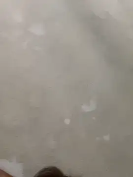 Snapshot of Doggy8668 chatting on 3, 3, 2026 Doggy8668 online show from 3, 3, 2026