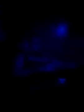 Snapshot of johnboones10 chatting on 16, 11, 2025 johnboones10 online show from 16, 11, 2025