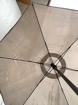 Adele Pinkk online show from 10, 10, 2025