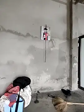 Tin tanny online show from 11, 2, 2026