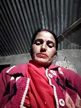 Jalebi bay online show from 3, 11, 2025