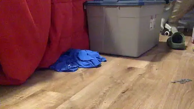 edger4lif3 online show from 19, 9, 2025