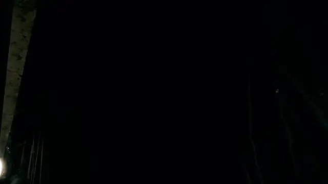 rosy petal online show from 12, 11, 2025