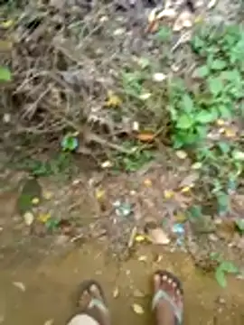 Udayanga- online show from 22, 3, 2026