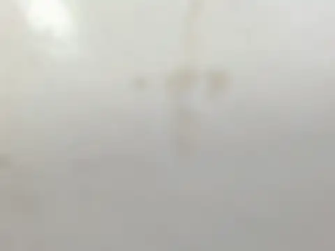 Snapshot of Penelopee_Rouse chatting on 20, 10, 2025 Penelopee Rouse online show from 20, 10, 2025