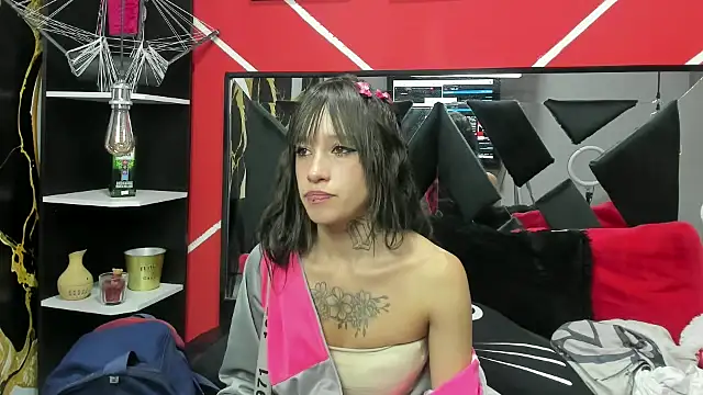 sharik noa online show from 1, 12, 2025