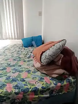 cat9269 online show from 17, 11, 2025