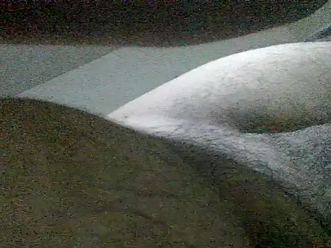 LuispingonX69 online show from 25, 5, 2026