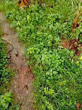 bigdaddyboy46 online show from 12, 9, 2025