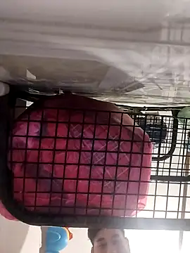 Ferxxxo1503 online show from 5, 11, 2025