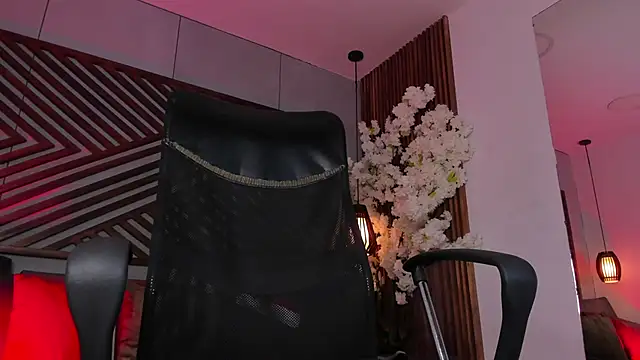 B Wild online show from 17, 12, 2025