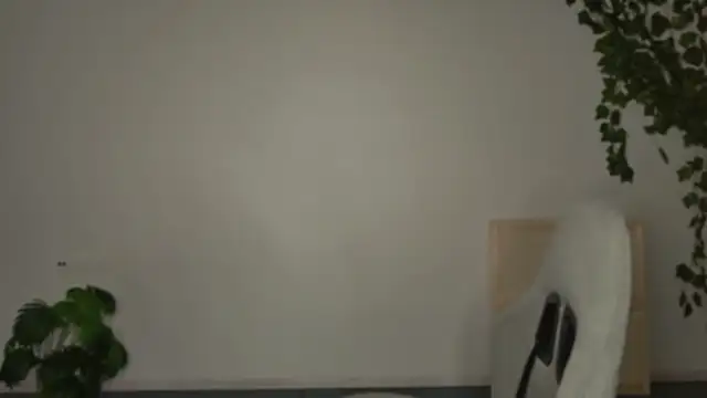 Yoka paradoXXX online show from 6, 11, 2025