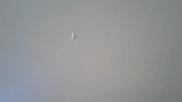 abimusic99 online show from 25, 2, 2026