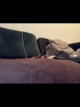 Immerhartundgeil online show from 11, 4, 2026