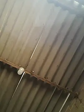 kiimferv online show from 10, 11, 2025