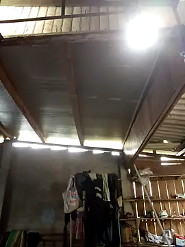 SSexykute3456 online show from 4, 10, 2025