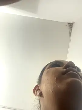 SienaWild online show from 26, 11, 2025