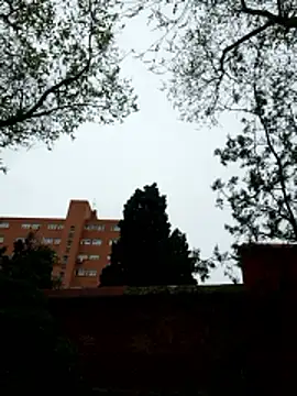 oliver sanders online show from 9, 3, 2026