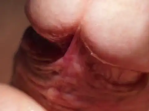 Kadazano online show from 7, 4, 2026