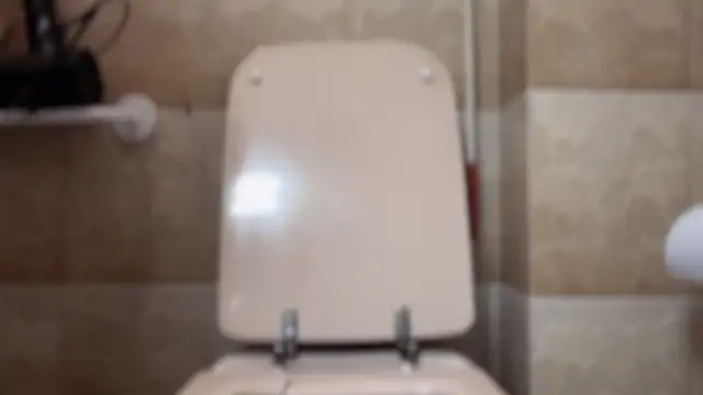 Chaserlovebear online show from 1, 11, 2025