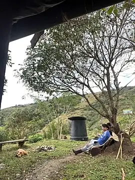 sky-wolves online show from 24, 9, 2025