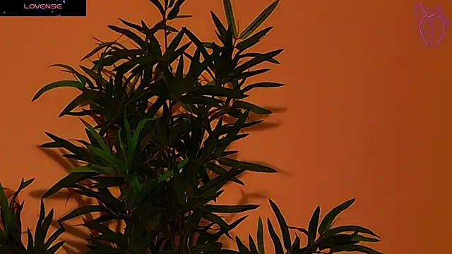 CoraVex online show from 26, 9, 2025