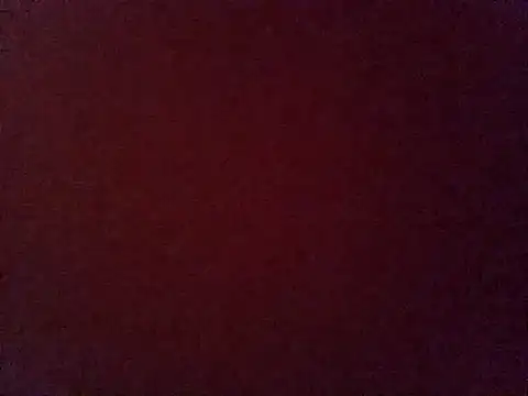 Snapshot of RuivaTrans chatting on 16, 9, 2025 RuivaTrans online show from 16, 9, 2025