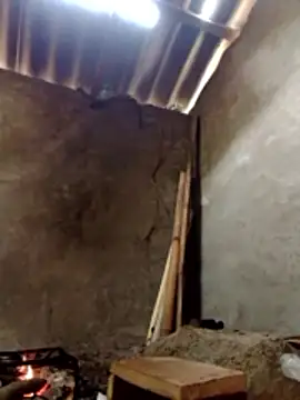 donna-bae online show from 13, 3, 2026