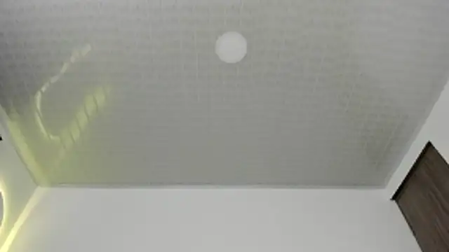 brandy h9 online show from 17, 1, 2026