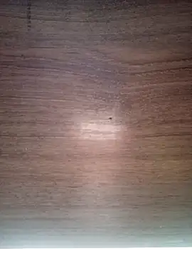 ValeriaLove43211 online show from 17, 12, 2025