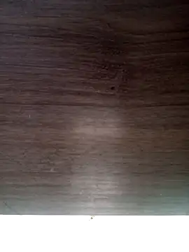 ValeriaLove43211 online show from 3, 3, 2026