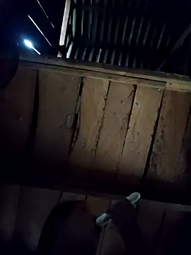 callistra online show from 6, 10, 2025