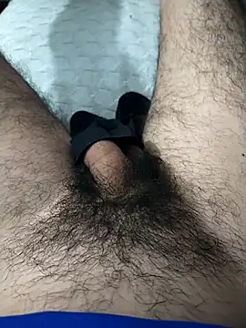 Mizo200 online show from 8, 11, 2025