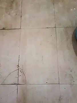 TeluguCuplehyd online show from 20, 9, 2025