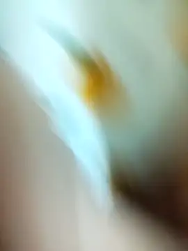 minh minh97 online show from 17, 1, 2026