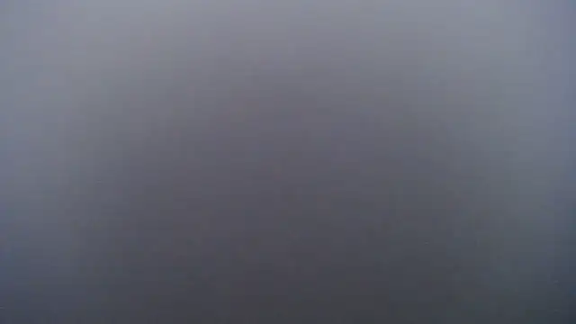 Snapshot of Juiceybileh chatting on 1, 2, 2026 Juiceybileh online show from 1, 2, 2026