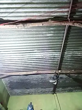 Haliya88 online show from 29, 10, 2025