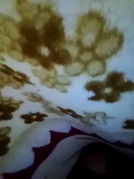 alone boy802 online show from 8, 11, 2025