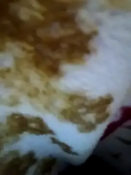 alone boy802 online show from 9, 11, 2025