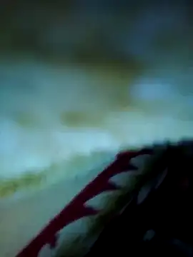 alone boy802 online show from 13, 11, 2025