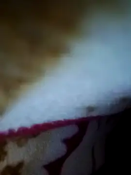 alone boy802 online show from 26, 11, 2025